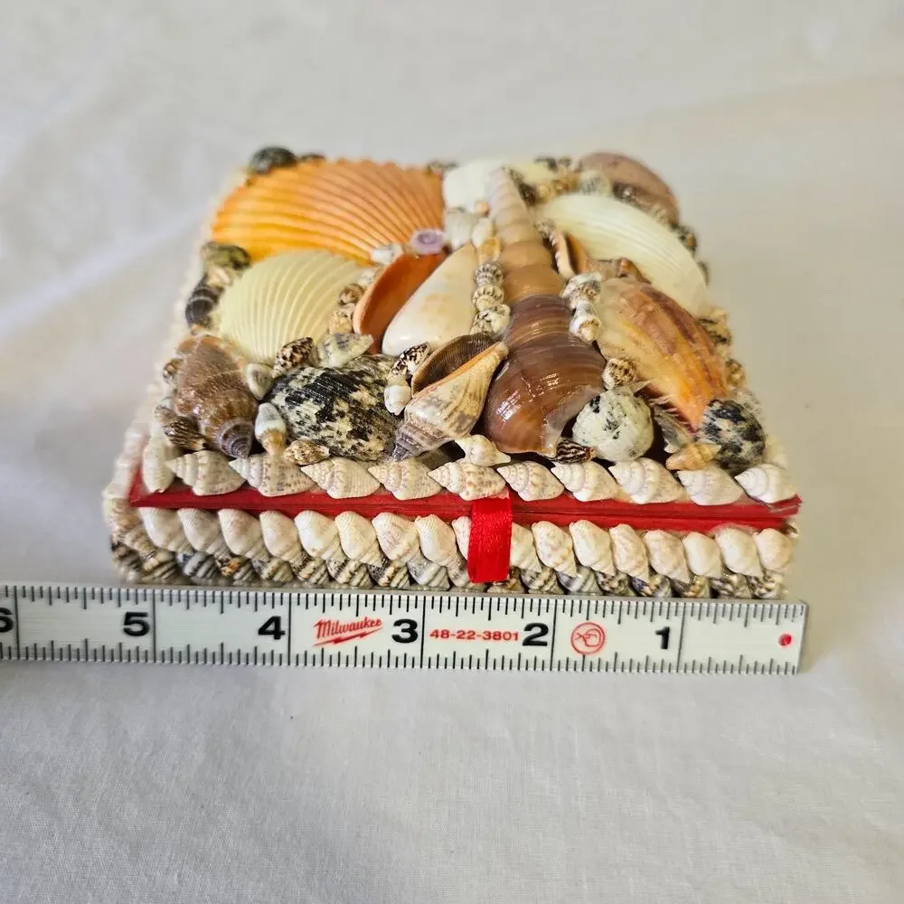 Shell Trinket Box Embellished Decorative Seashells 5.5